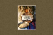 Carolina Plantation Brown Rice