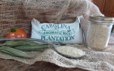 Carolina Plantation Brown Rice