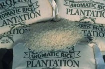 Carolina Plantation White Rice